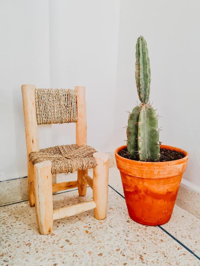 Cactus Surf House Hostel Tamraght Buitenkant foto